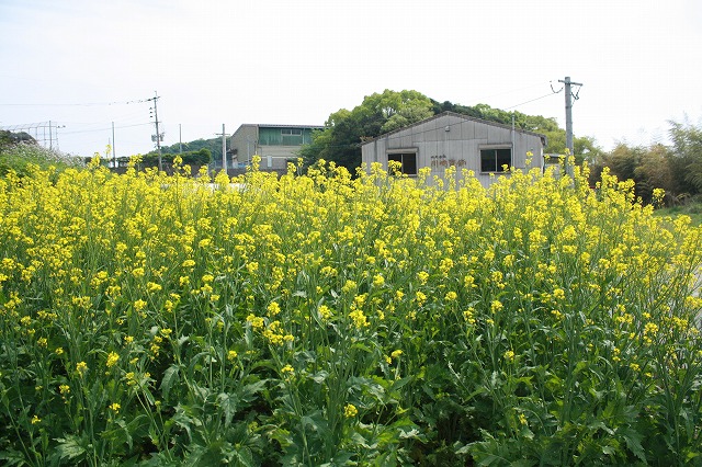 臨時休業のお知らせ